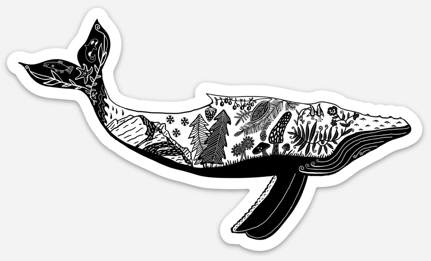 Humpback whale